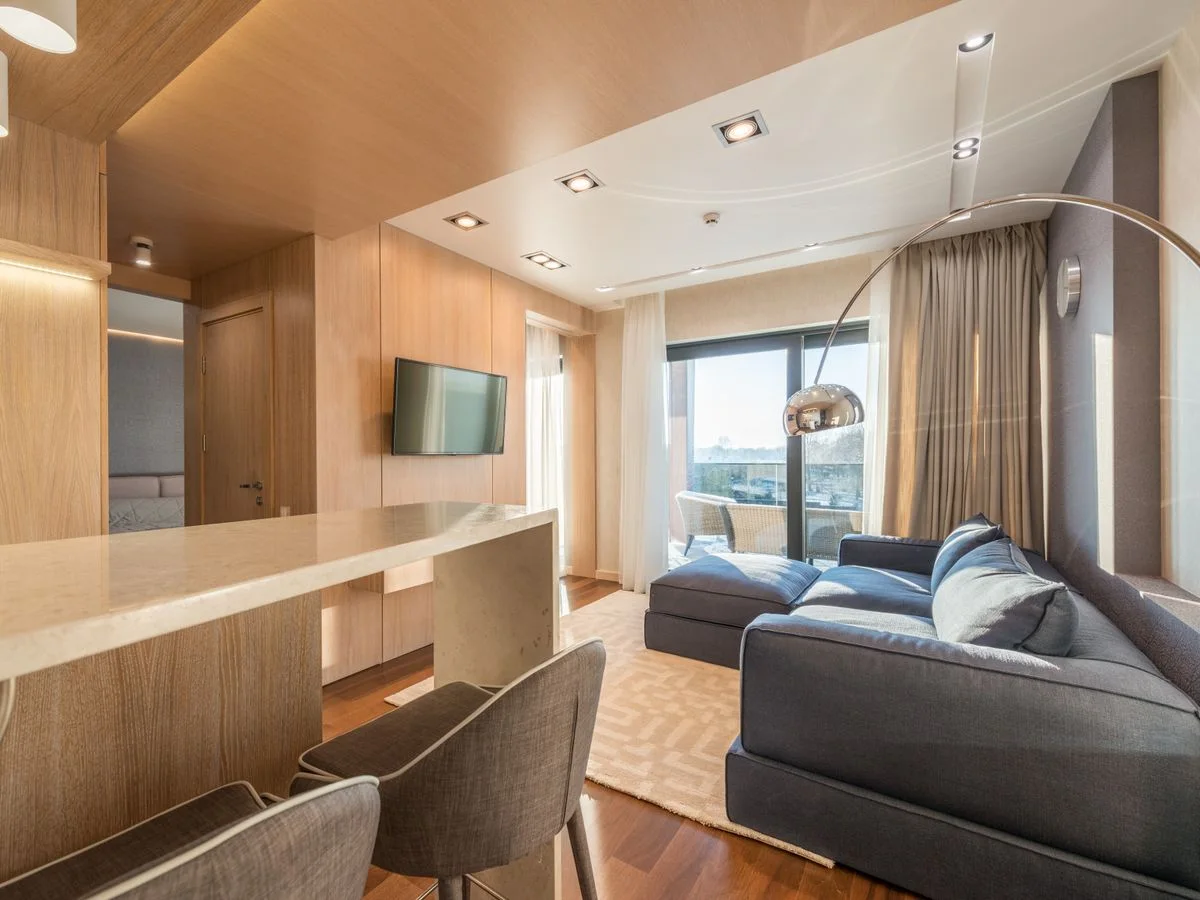 Interior of modern living room with wooden walls and counter near soft comfy sofa placed near window in daylight